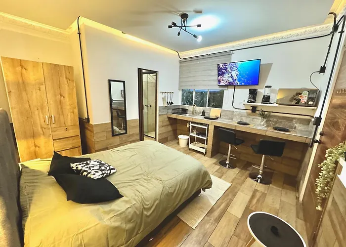 Loft Privado Y Centrico En Condesa A15-4 Apartment